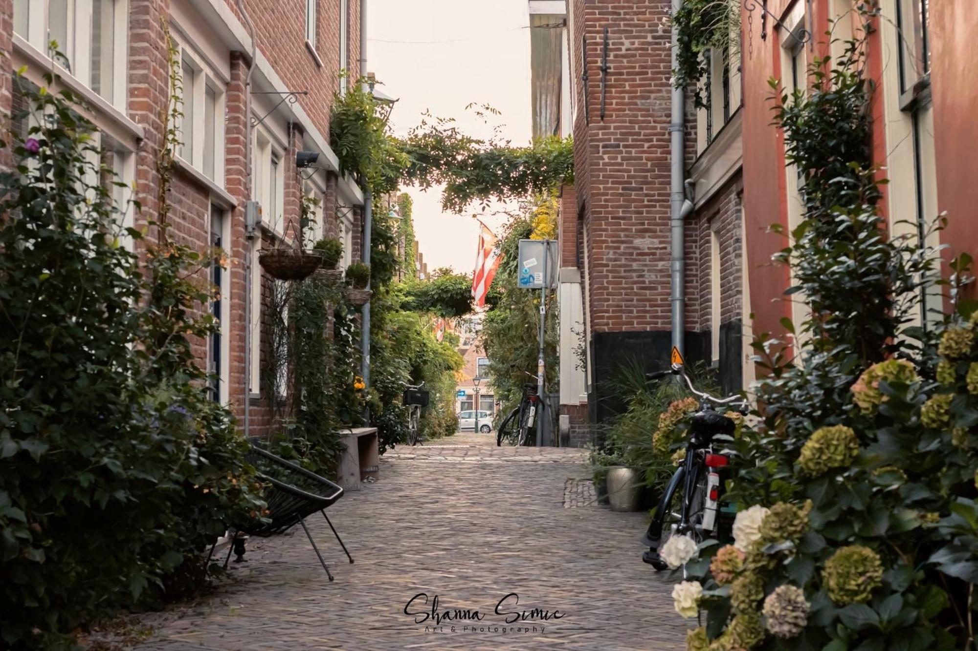 Aparthotel De Koning By Urban Home Stay Alkmaar Bagian luar foto